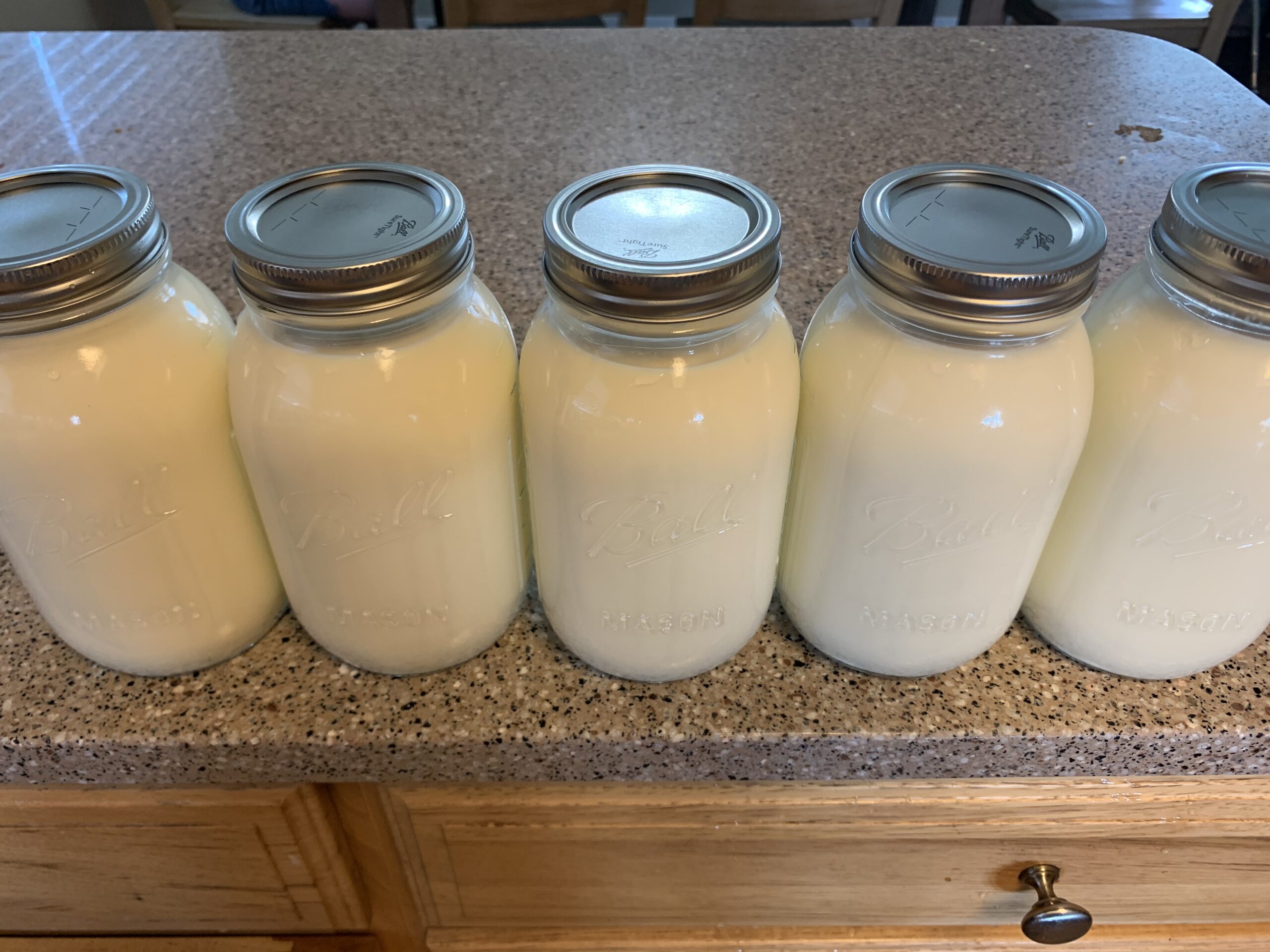 4 Questions to Ask Your Raw Milk Farmer